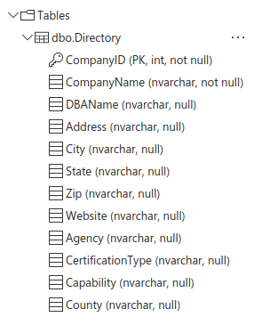 Power BI Dashboard Underrepresented Companies DB Schema